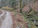 Des Aliés à la Suisse